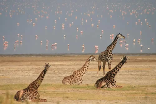 lake manyara