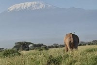 Kavava tours and safaris