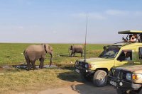 Kavava tours and safaris