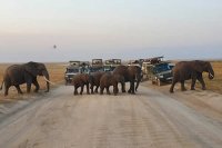 Kavava tours and safaris