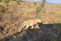 Kavava tours and safaris