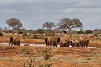 Kavava tours and safaris