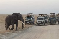 Kavava tours and safaris